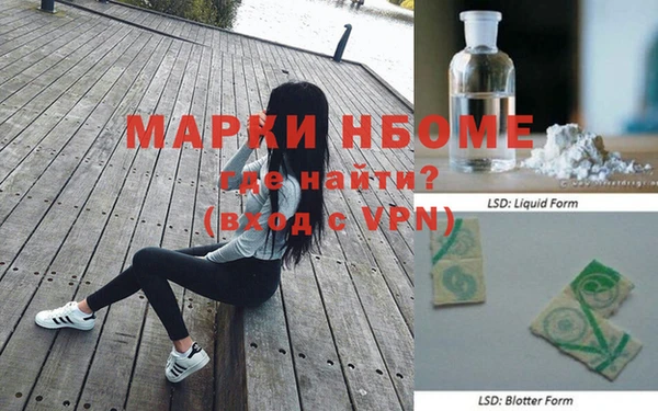 стафф Новокубанск